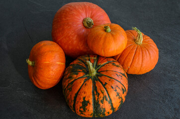New autumn harvest bright orange pumpkins on text dark background