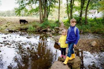 Two little children hiking in forest. Kid boy and toddler girl passing creek. Happy healthy kids having fun in nature, spending family vacations, outdoors on autumn or summer day