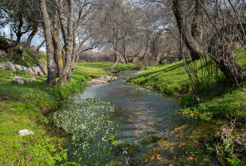 Views of the Tejada Stream, in the Dehesa of Navalvillar, Colmenar Viejo, Madrid, Spain