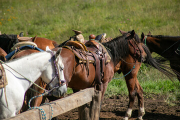 horseback riding in Las Piedrotas, Tapalpa, Jalisco, Mexico