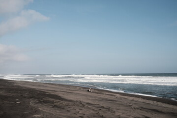 beach and waves