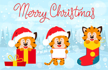 Happy Tiger New Year and Merry Christmas greeting card. Three tiger cubs on the background of a winter forest.