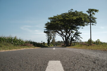 road in the countryside