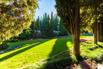 Fantastic day with blooming hills in warm sunlight at twilight. Dramatic and picturesque morning scene. Location place: Carpathian, Ukraine, Europe. Artistic picture. Beauty world. Soft filter effect.