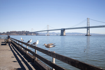 Obraz premium bridge over the river