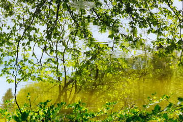 étang du Sépay, Réserve naturelle