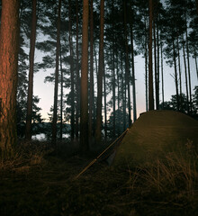 Night camping with a tent in the forest. Tourism in the woods. Light and illumination from a tent during dark night.