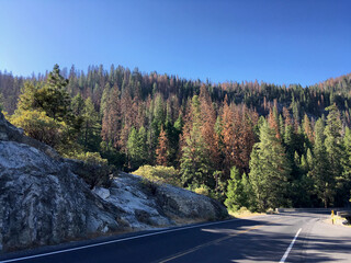 Breathtaking scenic landscape nature scenery panorama inside Yosemite National Park, California...