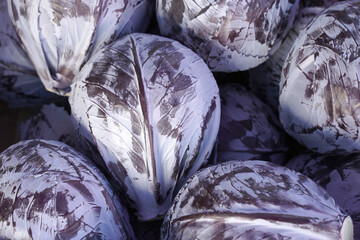 Fototapeta na wymiar Red cabbage closeup on the farmers market. background, food texture. 