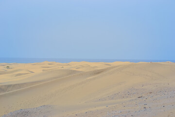 The Maspalomas Dunes are sand dunes located on the south coast of the island of Gran Canaria