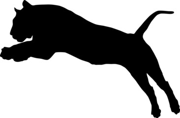 The silhouette of a jumping tiger, isolated on a white background. Vector design of the Tiger icon.