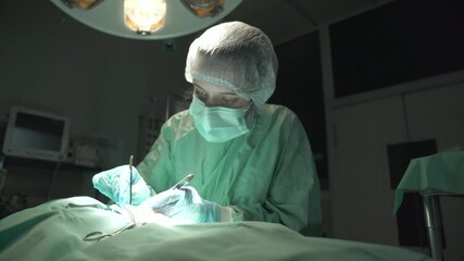 Female Surgeon during surgery of dog in Veterinary Hospital,close up