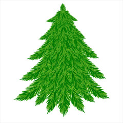 Natural young spruce