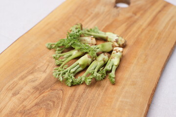 タラの芽 (Dureup)