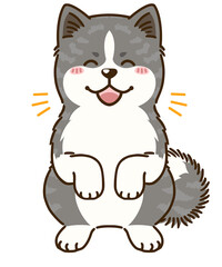 喜ぶ秋田犬（虎毛）