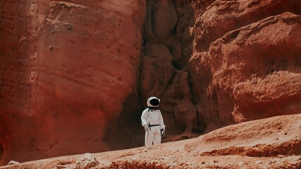 Mars Astronaut  © SpaceX