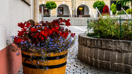 flowers in pots on the market square in the city of Jawor