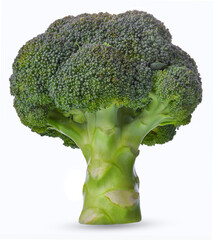 broccoli isolated on white background