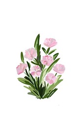 Naklejka na ściany i meble bouquet of pink flowers