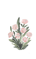 bouquet of pink flowers