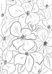 seamless floral pattern