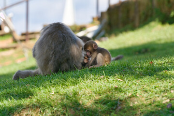 家族団欒のひと時