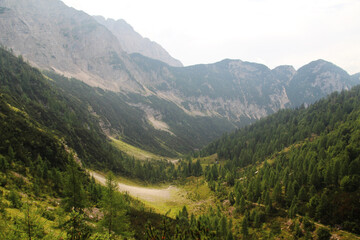 Obraz na płótnie Canvas The Trenta Valley, Triglav National Park, Slovenia