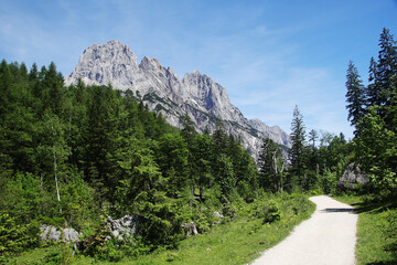 Obraz premium A path through Berchtesgaden National park from Ramsau to Weissbach bei Lofer