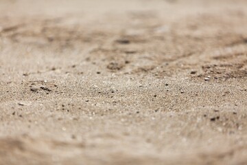 Copy space of sand beach texture abstract
