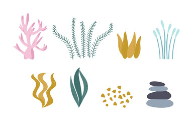 Seaweed and coral, a set of cute plants from the ocean. Vector illustration isolated on a white background.