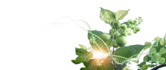 Plant and environment research, DNA, Gene therapy, Biology laboratory nature and science, Plants...
