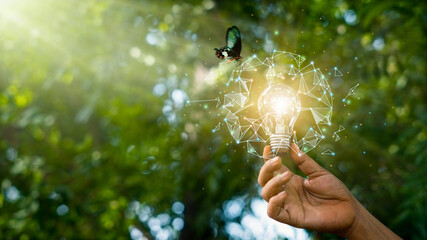 Hand holding light bulb against nature on green forest with butterfly.  energy sources for...