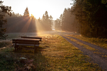 Morgenspaziergang im Lengenbachtal