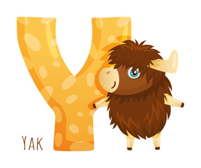 Y letter and cute yak baby animal. Zoo alphabet for children education, home or kindergarten decor cartoon vector illustration