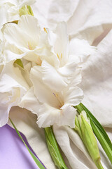 Fototapeta na wymiar Beautiful gladiolus flowers on color background, closeup