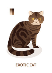 Exotic Cat - vector illustration in flat style