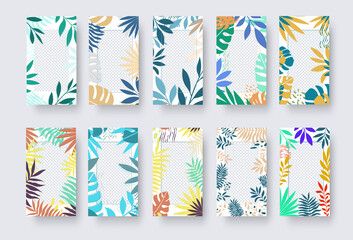Vector social media banner with place for photo, tropical exotic twigs, leaves, on a white background.