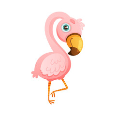 Cute jungle pink flamingo bird cartoon vector illustration on white background