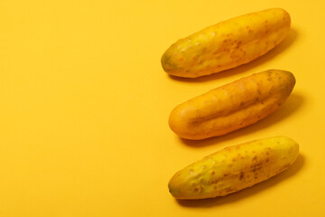 overripe yellow cucumbers isolated on yellow background