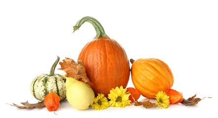 Autumn composition with different pumpkins and pear on white background