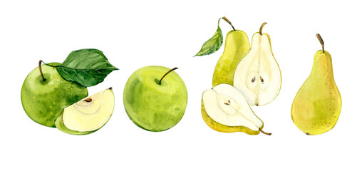 Watercolor clip art. Fruits: apples and pears. Hand drawing.
