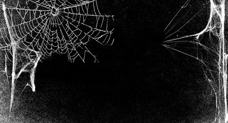Spiderwes isolated on black grunge background. Cobweb frame. Halloween party. Texture of spider...