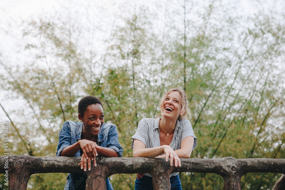 Wall mural Cheerful women in a jungle