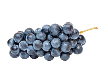 Dark blue grapes isolated on white background