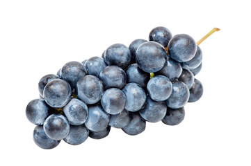 Dark blue fresh grapes isolated on white background