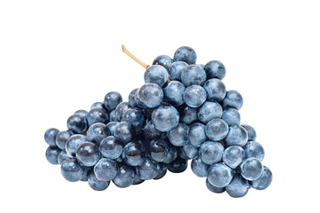 Several bunches of dark blue grapes isolated on white background