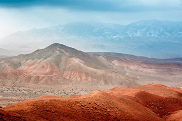 Zelfklevend Fotobehang Rode Bergen Boguty. Kazachstan. Marslandschappen © Tatyana_Drujinina
