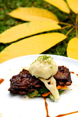 close grilled beef steak with mashed potatoes on white plate