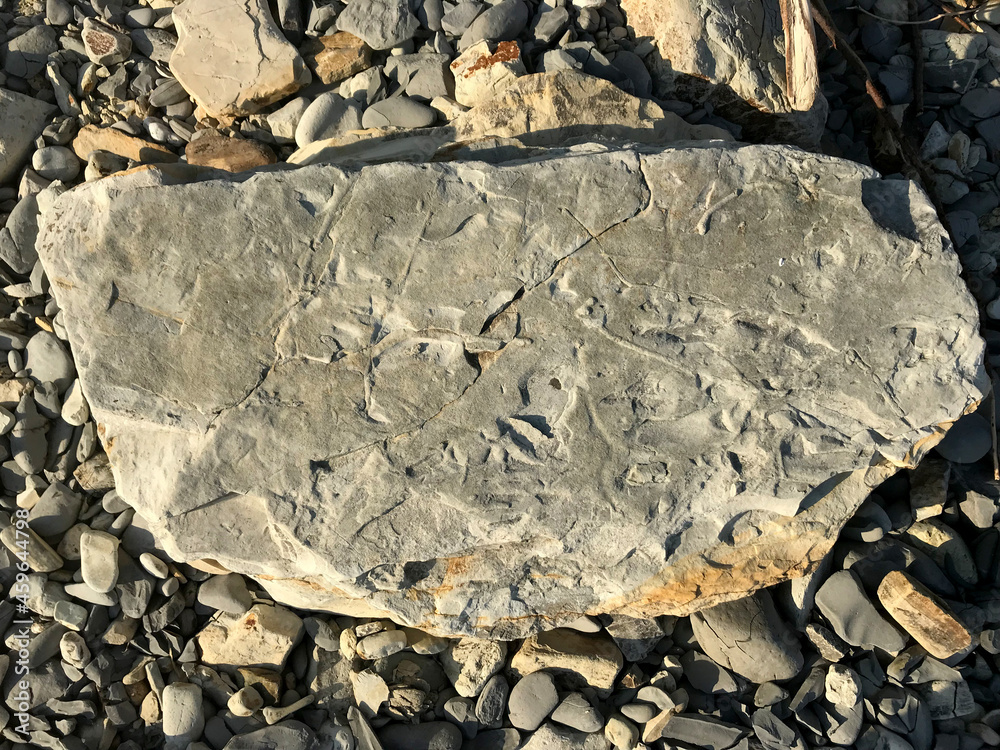 Poster a large stone lies on a sea pebble on the beach. piece of rock