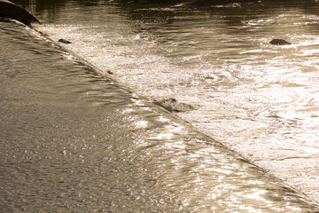 Llobregat River near its mouth in the Mediterranean Sea